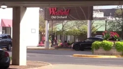 Man detained after woman attacked, held underwater in pond at Skokie mall, police say