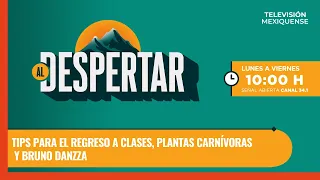 Tips para el regreso a clases, plantas carnívoras y Bruno Danzza | Al Despertar | 24-08-2026