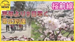 桜前線　平年より９日早く帯広到達　札幌では寒地研の千島桜が五分咲き　函館・五稜郭公園では満開見頃