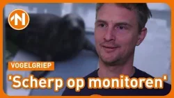 Zeehond besmet met vogelgriep