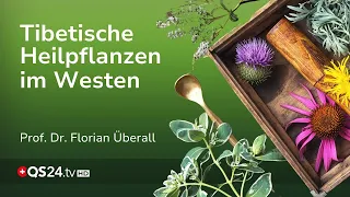 Tibetan Medicine in the West: Bridging Tradition and the Future | QS24