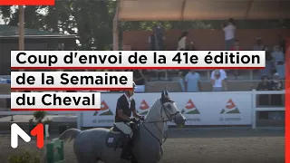 Rabat : Coup d'envoi de la 41ème édition de la Semaine du Cheval