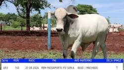 TOURO  745 UFU  2026