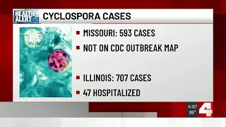 St. Louis County sees spike of Cyclospora cases bringing total to 117