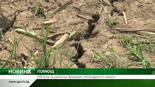 ПОМОЩ: 100 €/ха за румънски фермери, пострадали от сушата
