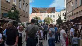 Honey Harvest in the Dzierżoniów Market Square