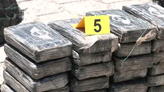 Destrucción de 1,300 kilos de droga incautada