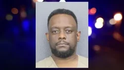 THE CASE OF CAREL PEDRE: An Immigration Expert Weighs In