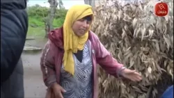 في القفة : فرحة المرا كي شافت هالة .. فرحة من القلب