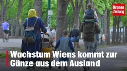 Vienna's growth comes entirely from abroad | krone.tv NEWS