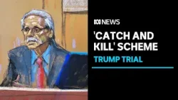 David Pecker's claims of 'catch and kill' scheme heard in Trump's hush money trial | ABC News