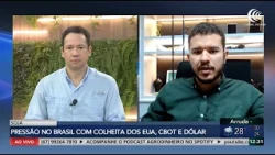 Brazilian Soybean Prices Under Pressure from US Harvest and Dollar