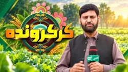 Kar Karwanda | 09 October 2026 | Khyber News