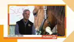 Calls of congratulations, pet adoptions, and winter woes | Talkback 16