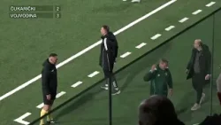 ČUKARIČKI -  VOJVODINA 2-3