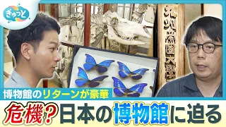 The looming crisis for museums: Kyushu University Museum's struggle to "protect 1.7 million speci...