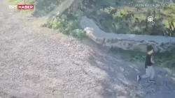 Antalya'da başıboş köpeklerin saldırdığı çocuk yaralandı