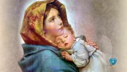 Poema conduzido por Tainá Costa | Programa Ave, Maria!