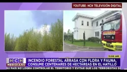 ¡Zozobra! Incendio forestal amenaza lujosas residencias en El Hatillo