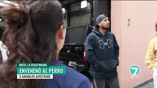 VIDEO | Woman suspected of poisoning dogs in La Ecuatoriana, south of Quito