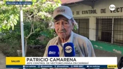 Piden a chiricanos eliminar criaderos del mosquito Aedes aegypti