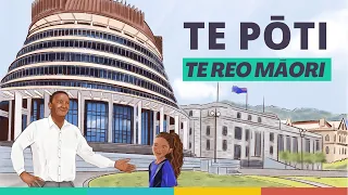 Te Pōti - The Vote (Te Reo Māori)