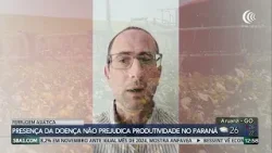 Ferrugem asiática não prejudica a produtividade da soja no Paraná