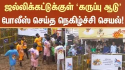 Avaniyapuram Jallikattu - 2026 | Black Sheep | Lead | Details | Madurai