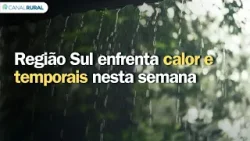 Região Sul enfrenta calor e temporais nesta semana | Previsão do tempo | Sul