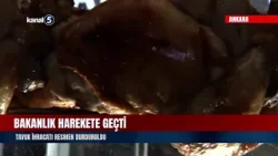 Bakanlık Harekete Geçti | Tavuk İhracatı Resmen Durduruldu