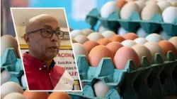 Moca egg producers warn of lack of planning in the poultry subsector