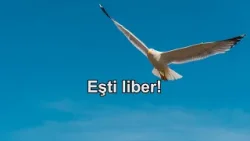 Ești liber! | Biruitori | 96 Ești liber! | Biruitori | 96