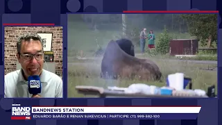 Man tossed by bison after getting too close at Yellowstone National Park in the US