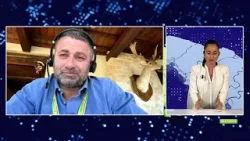 TG All News del 4_4_2026 edizione sera