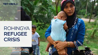 Rohingya risk death at sea in search of safety