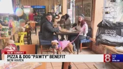 Furry friends enjoy Taste of New Haven's "Pizza Pawty" Furry friends enjoy Taste of New Haven's "Pizza Pawty"