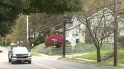 Binghamton Police arrest 83-year-old woman in hit-and-run
