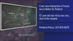 Police: Portland man dies after being hit by two different vehicles