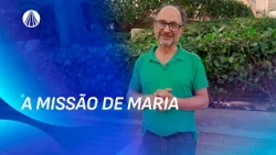 Maria efetivamente cooperou com o mistério da salvação | Escola de Maria