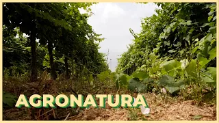 07/24/2026 - Agronatura