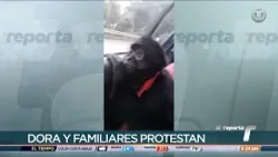 Dueña de la monita Karol exige a MiAmbiente esclarecer las causas del fallecimiento de la primate