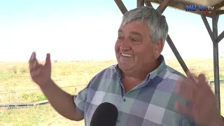 Забави, забави…