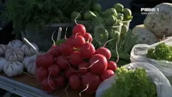 Вітамінний бум у Рівному: які весняні продукти вже з’явилися на ринку та за яку ціну