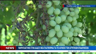 Παρουσιάστηκε στην ΑΑΔΕ η νέα πλατφόρμα για τις αιτήσεις των αγροτικών επιδοτήσεων