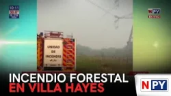 Incendio forestal en Villa Hayes