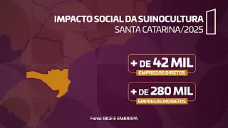 ABCS lança plataforma de inteligência de mercado para monitorar a suinocultura brasileira