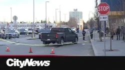 Elderly woman taken to hospital in serious condition following a pedestrian collision in NW Calgary