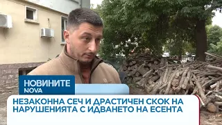 Драстичен скок на незаконния дърводобив в Монтанско с идването на есента | 27 септ. 2026