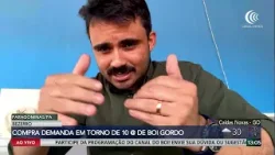 Valorização do bezerro impulsiona retenção de fêmeas e fortalece mercado do boi gordo Valorização do bezerro impulsiona retenção de fêmeas e fortalece mercado do boi gordo