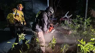 Havoc Caused by Rain and Strong Winds